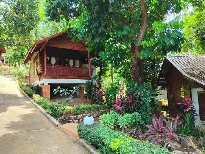 1 Bedroom 1 Bathroom - House Samui - photo 3