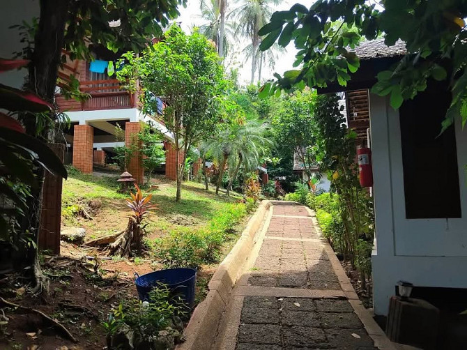 1 Bedroom 1 Bathroom - House Samui - photo 2