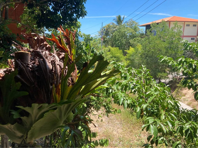 1 Bed 1 Bath - House Phangan - photo 16