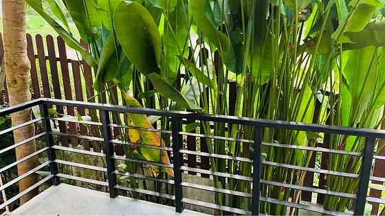 3 Beds 3 Baths - House Samui