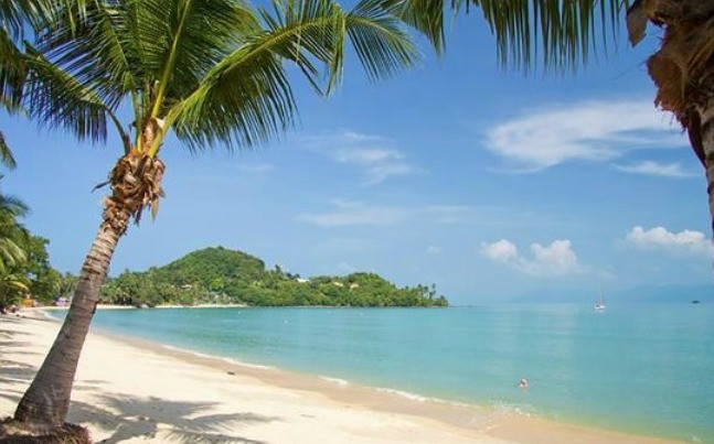 2 Beds 1 Bath Apartment Samui - photo 17