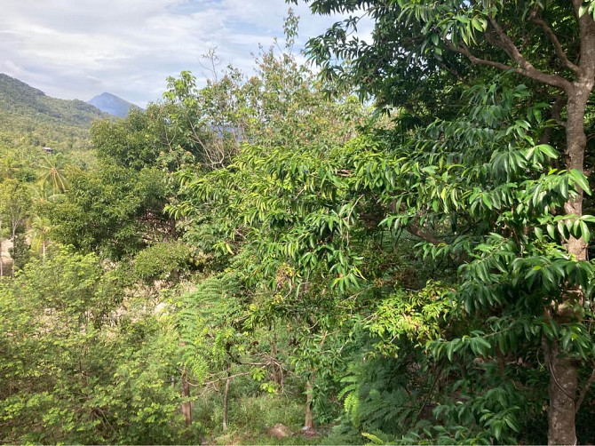 1 Bed 1 Bath - House Phangan - photo 18