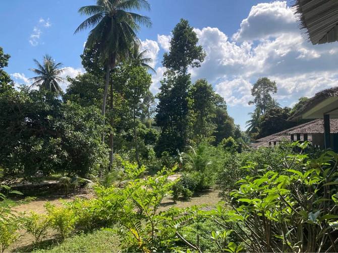 1 Bed 1 Bath - House Phangan - photo 11