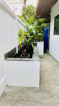 3 Beds 3 Baths - House Samui
