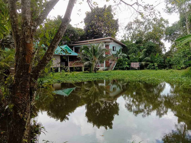 1 bedroom 1 bathroom - Apartment Phangan - photo 9