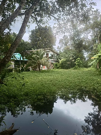 1 bedroom 1 bathroom - Apartment Phangan - photo 10