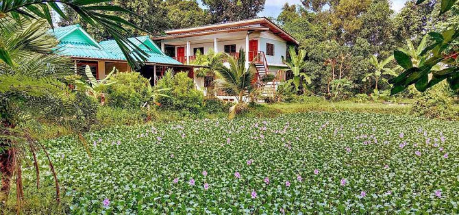 1 bedroom 1 bathroom - Apartment Phangan - photo 1