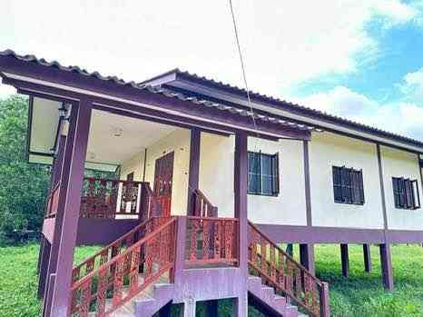 2 bedrooms 1 bathroom - House Phangan