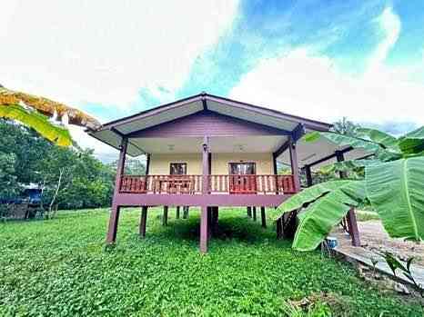 2 bedrooms 1 bathroom - House Phangan