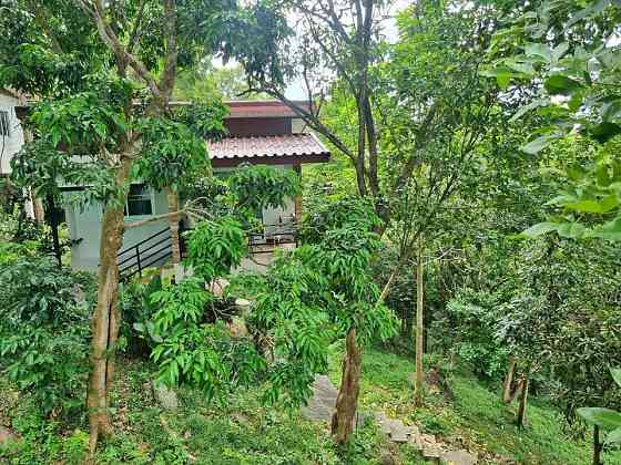 House with: 1 Bedroom and 1 Bathroom Phangan