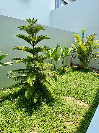 3 bedroom, 3 bathroom house Samui - photo 10
