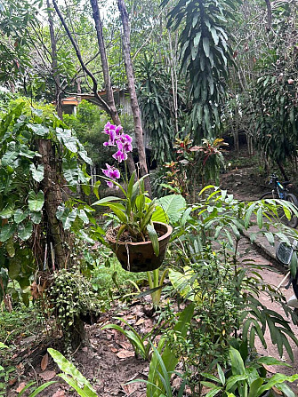 1 Bed 1 Bath - House Phangan - photo 3