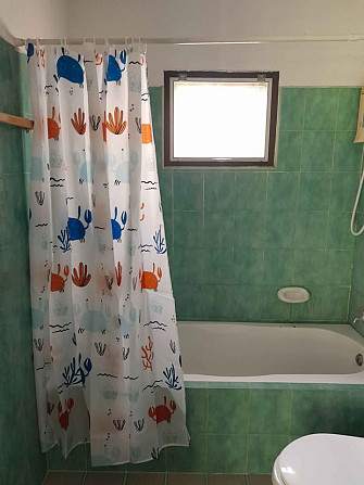 1 Bedroom 1 Bathroom - House Samui - photo 4