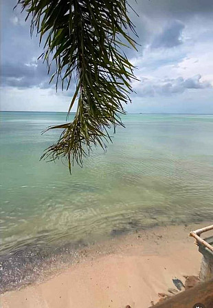 1 Bedroom 1 Bathroom - House Samui - photo 11
