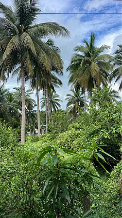Maison avec Chambres: 2 et Salles de bain: 1 Samui - photo 18