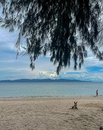 1 Bed 1 Bath - House Phangan - photo 8