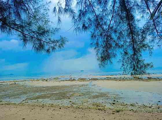 1 Bedroom 1 Bathroom - House Samui