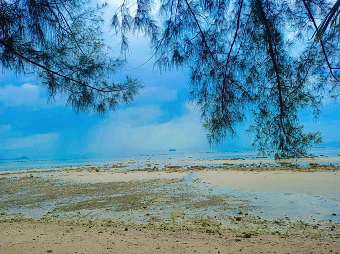 1 Bedroom 1 Bathroom - House Samui - photo 2