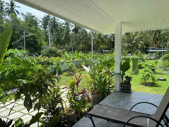 House for Long Term Rent Samui
