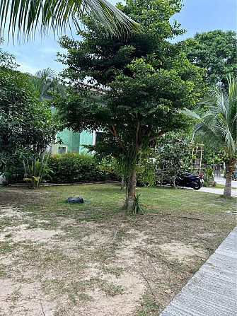 1 Bedroom 1 Bathroom - House Phangan - photo 13