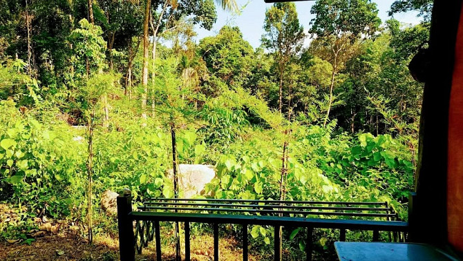 2 beds 1 bath House Phangan - photo 17