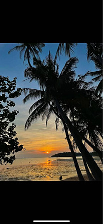 1 Bed 1 Bath - House Phangan - photo 2