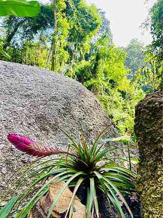 1 bed 1 bath – House Samui
