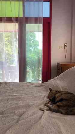 1 Bed 1 Bath - House Phangan