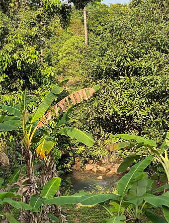 1 Bed 1 Bath - House Phangan - photo 4