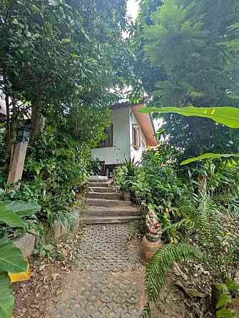 House for Long Term Rent Samui