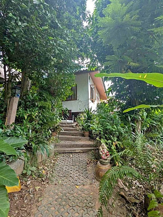 House for Long Term Rent Samui - photo 1