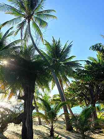 1 Bedroom 1 Bathroom - House Samui