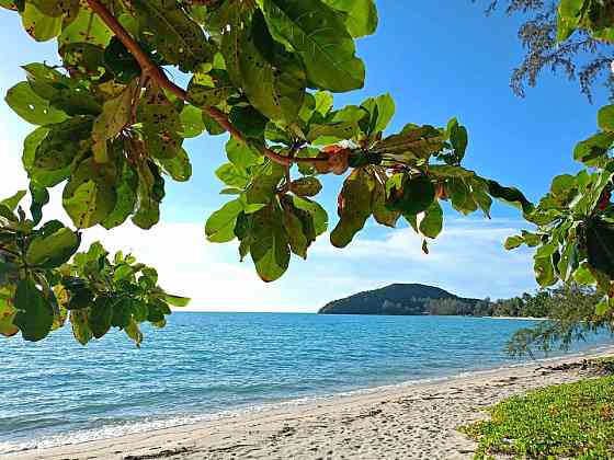 1 Bedroom 1 Bathroom - House Samui