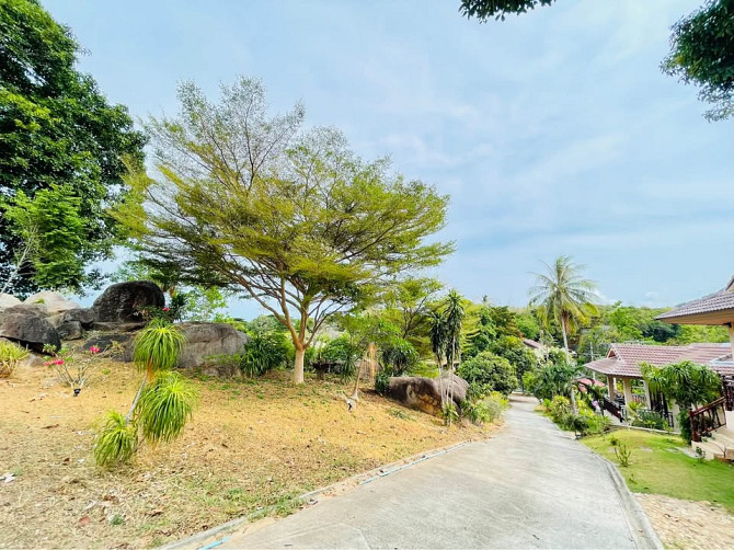 1 Bed 1 Bath - House Samui - photo 3