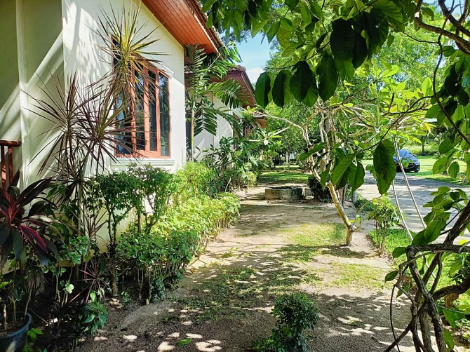 2 bedrooms 1 bathroom - House Samui - photo 15