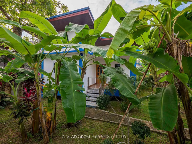 2 Beds 1 Bath - House Samui - photo 17