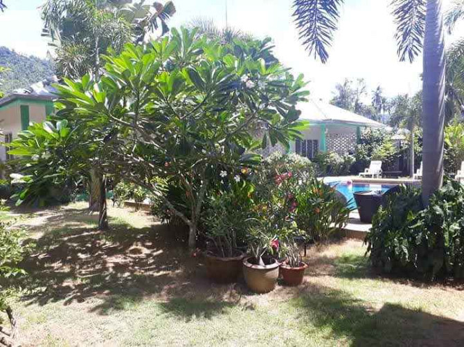 1 bedroom, 1 bathroom house Samui - photo 3