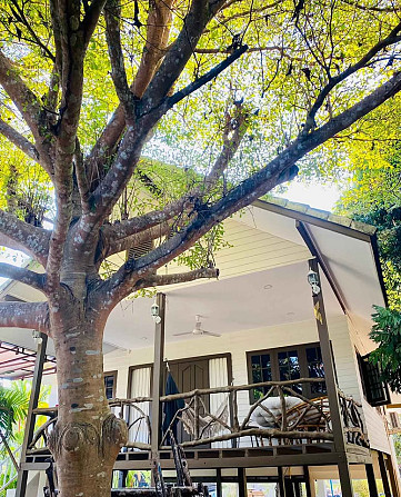 2 Beds 1 Bath - House Phangan - photo 8
