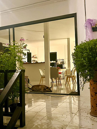 House with Bedrooms: 2 and Bathrooms: 2 Phangan - photo 7