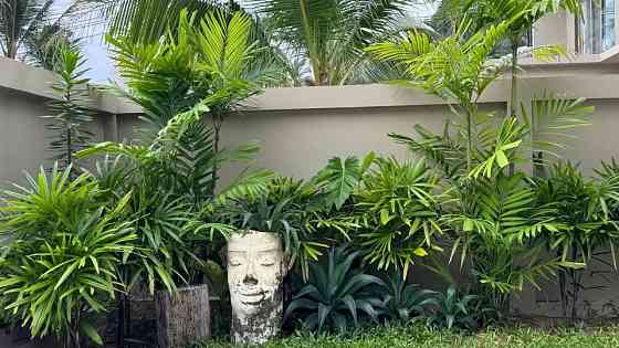 3 bedroom, 3.5 bathroom house Samui