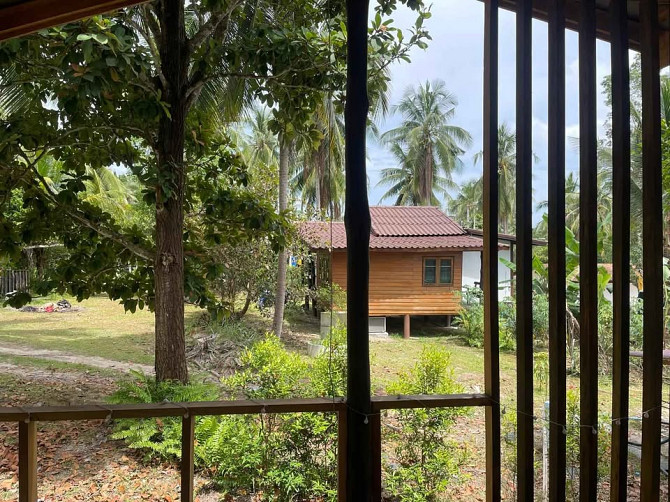 House with Bedrooms: 1 and Bathrooms: 1 Phangan - photo 4