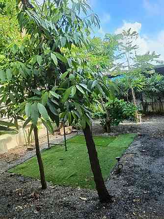 4 bedrooms 2 bathrooms - House Samui