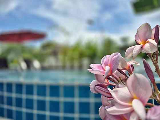 3 beds 2 baths – House Samui