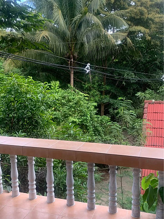 1 Bedroom 1 Bathroom - House Samui - photo 10