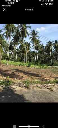 Studio Apartment for Rent Samui