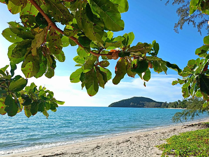 1 Bedroom 1 Bathroom - House Samui - photo 1