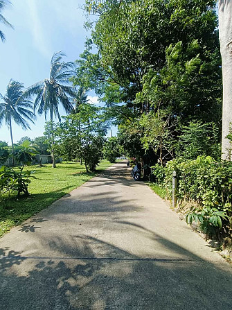 2 bedrooms 1 bathroom - House Samui - photo 16