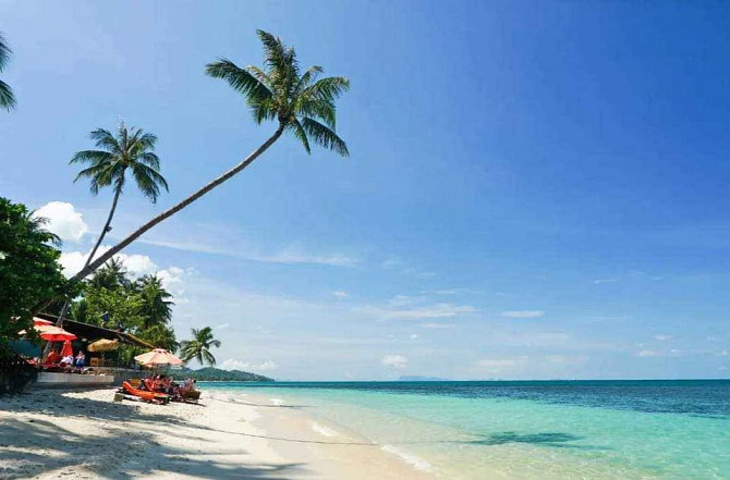 1 bed 1 bath – House Samui - photo 7