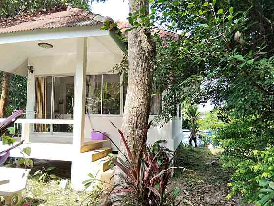 1 Bedroom 1 Bathroom - House Samui