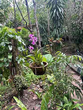 1 Bed 1 Bath - House Phangan